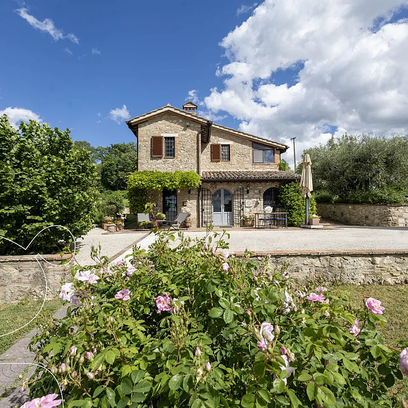 View image 6