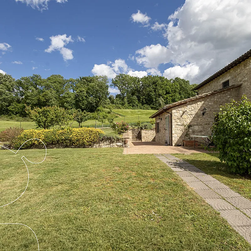 View image 12