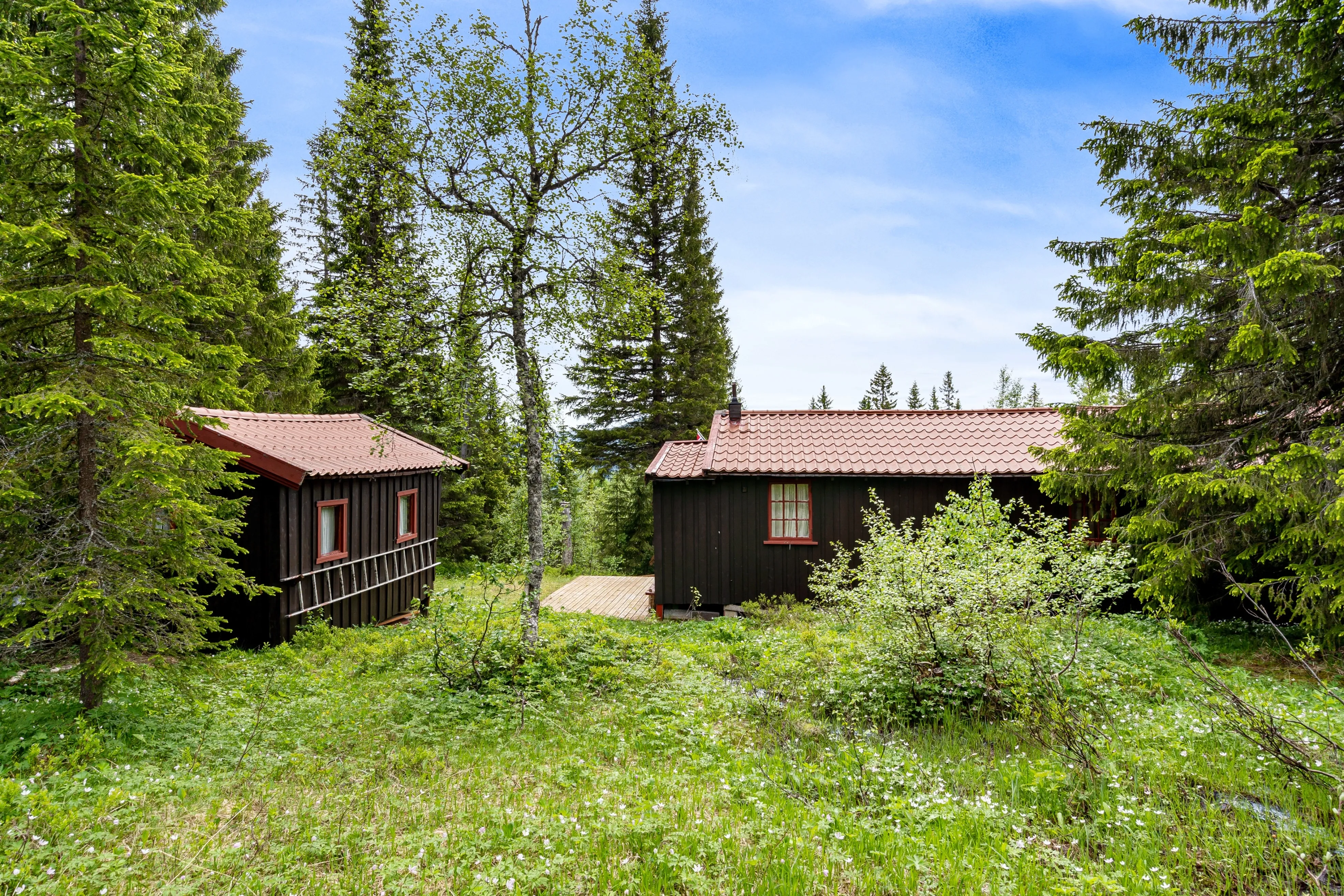 1970s 3-Bedroom Home with Expansive Grounds in Trøndelag, Norway - View image 22 of 24