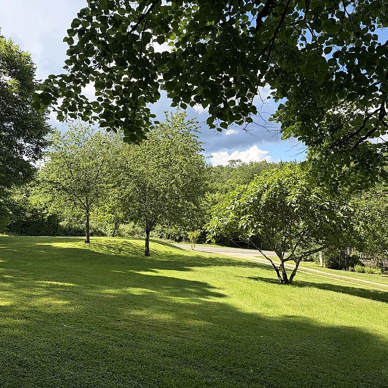 View image 10
