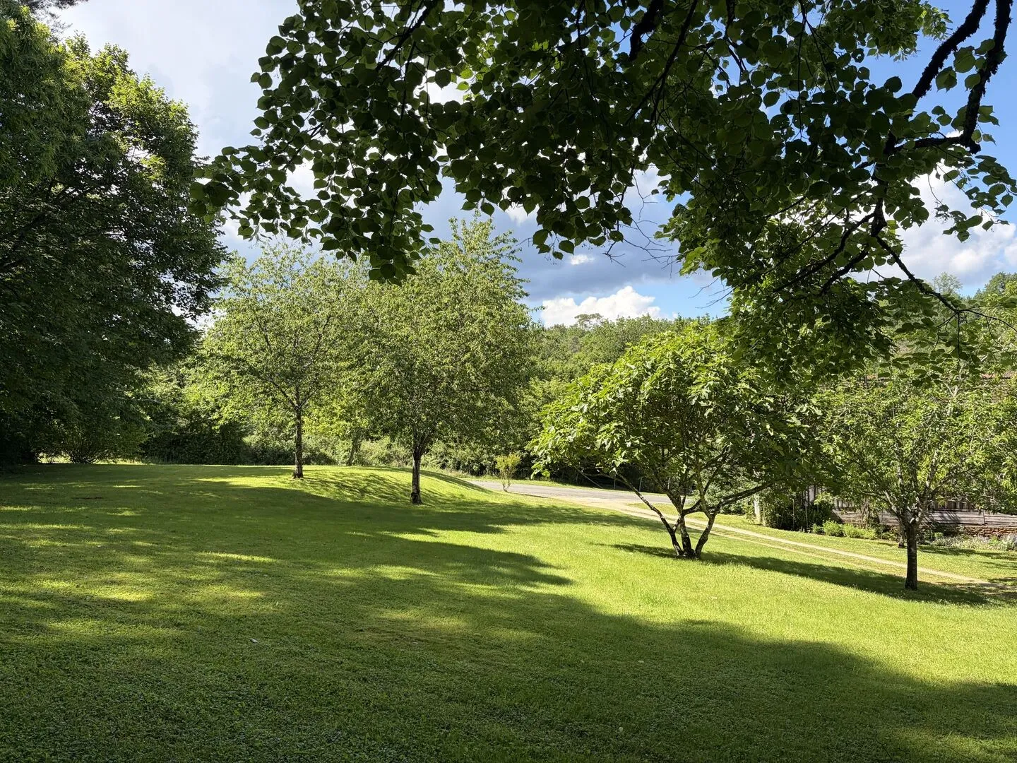 Expansive 5-Bedroom Farmhouse with Pool on 36 Acres near Sarlat, France - View image 10 of 44