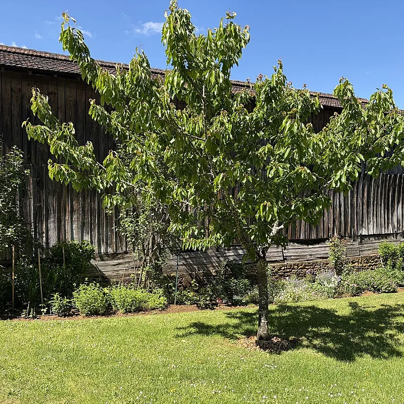 View image 29