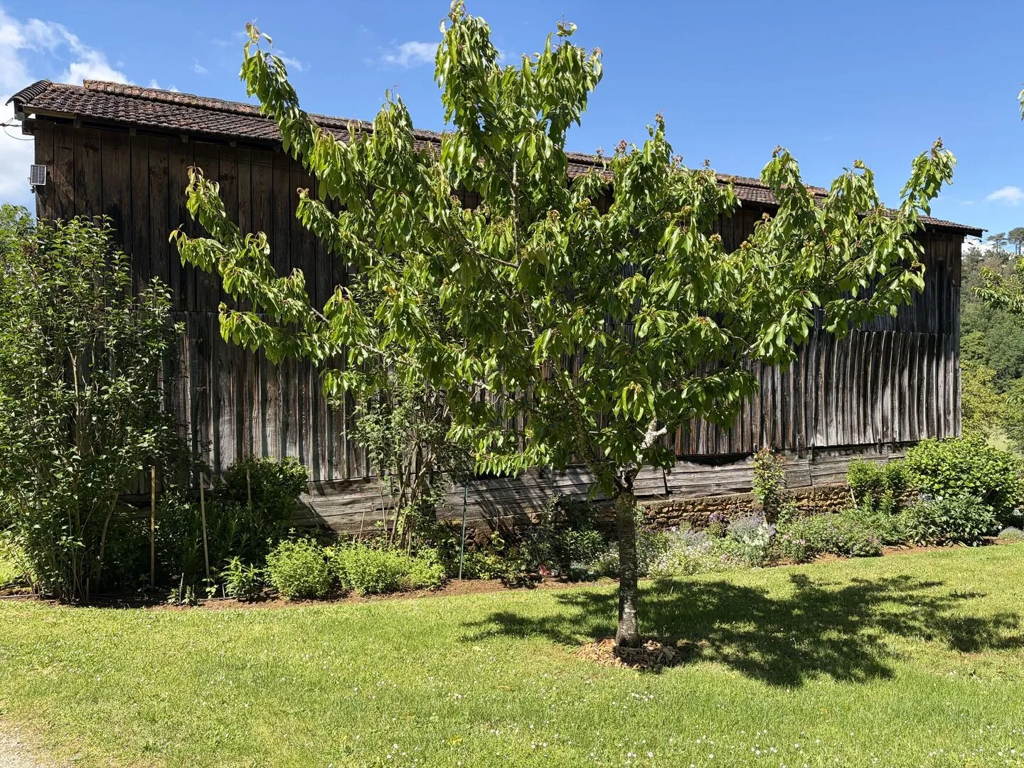 Expansive 5-Bedroom Farmhouse with Pool on 36 Acres near Sarlat, France - View image 29 of 44