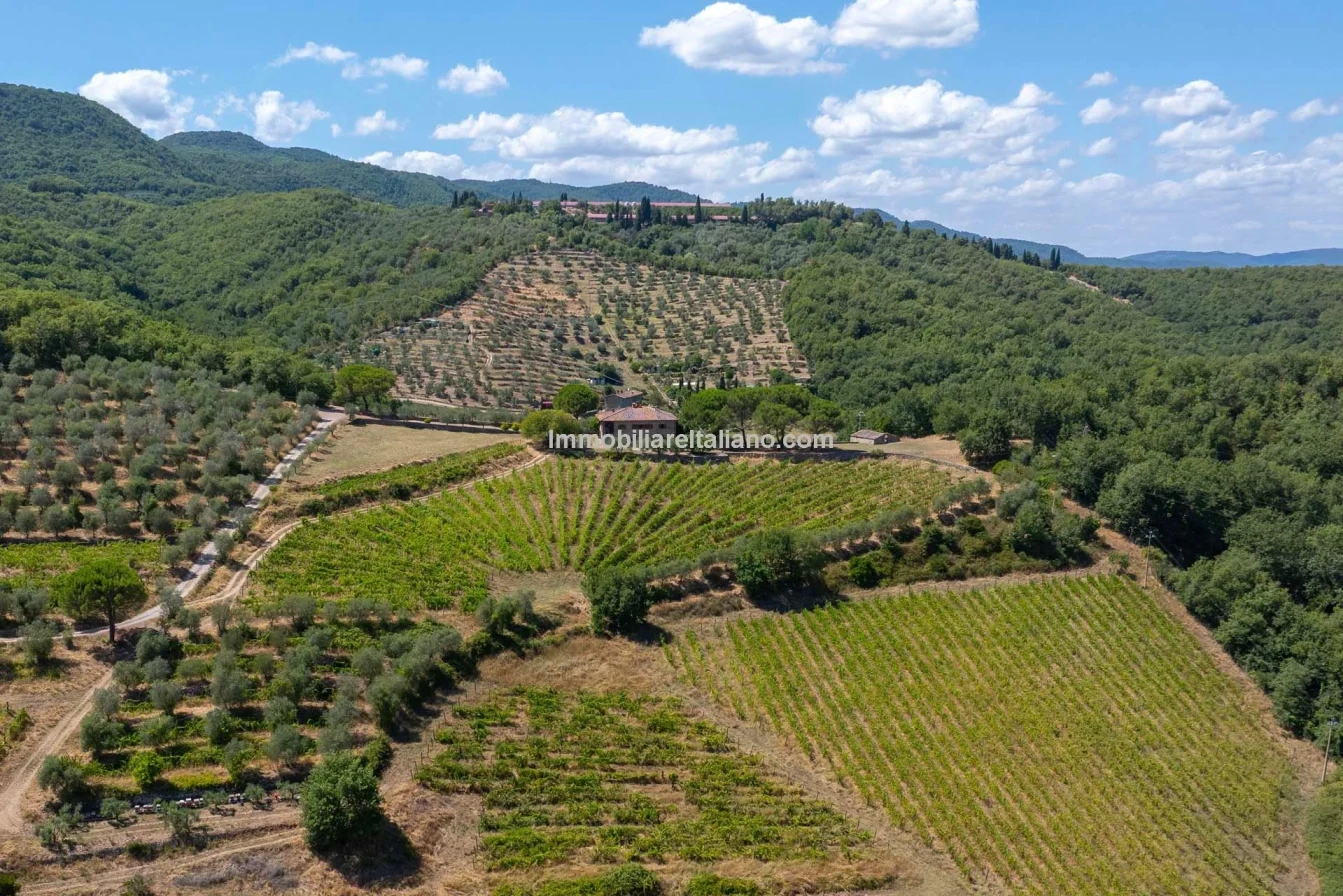 Spacious 5-Bedroom Farmhouse with Dual Living in Bucine, Tuscany - View image 11 of 50