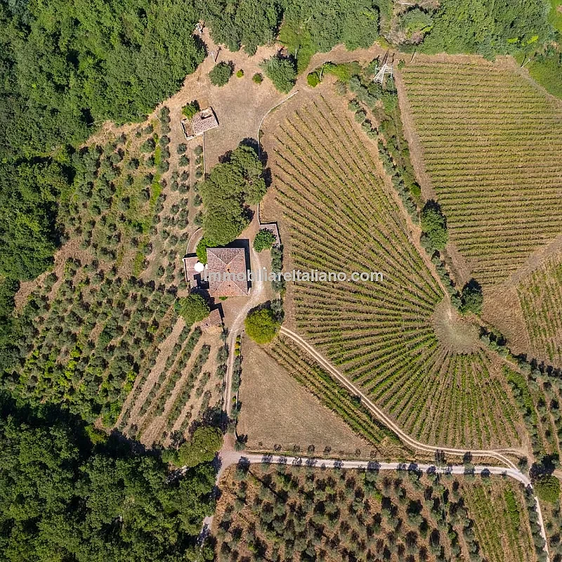 View image 12