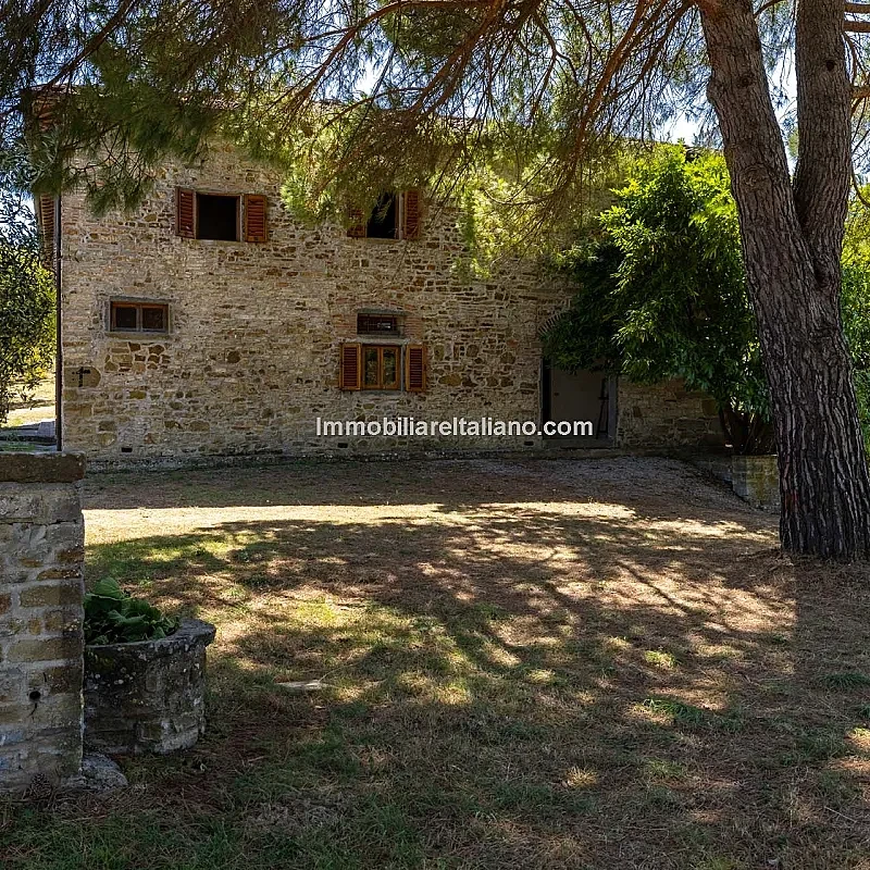 View image 19