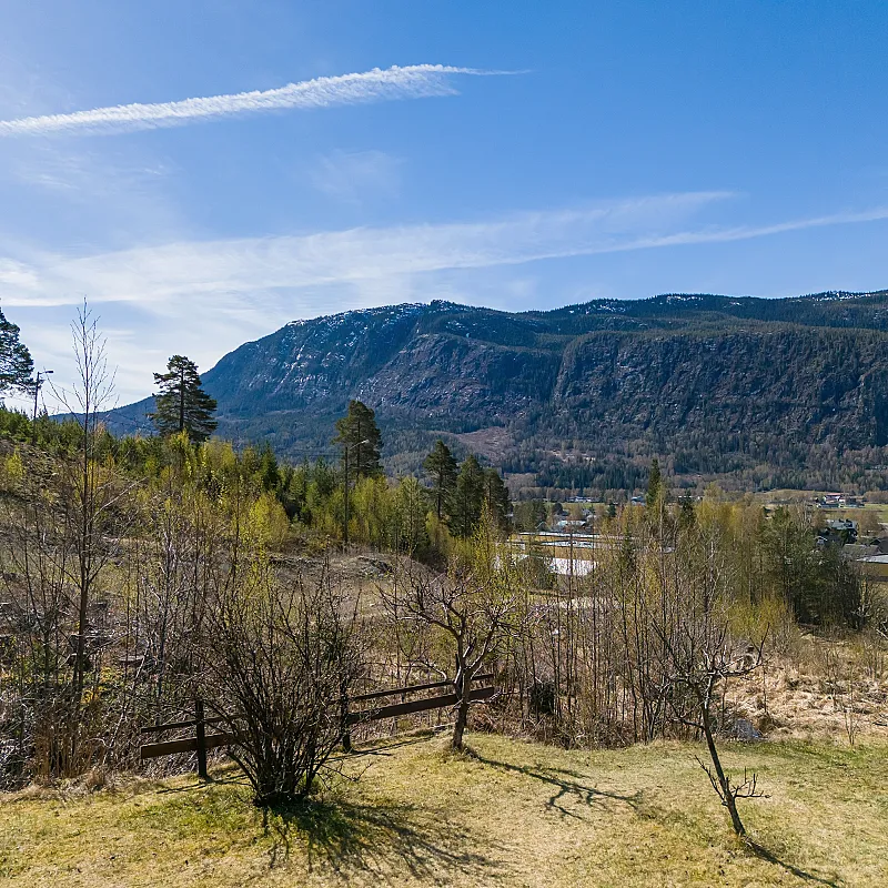 View image 12