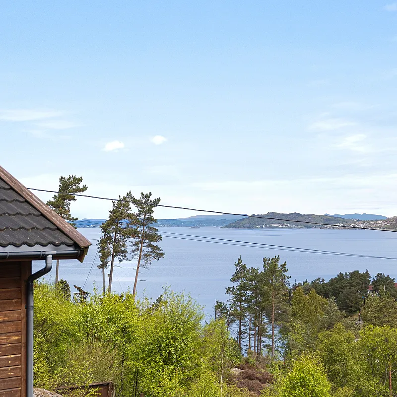 View image 5