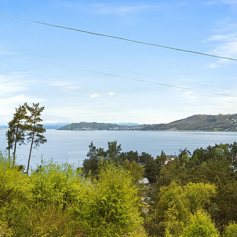 View image 16