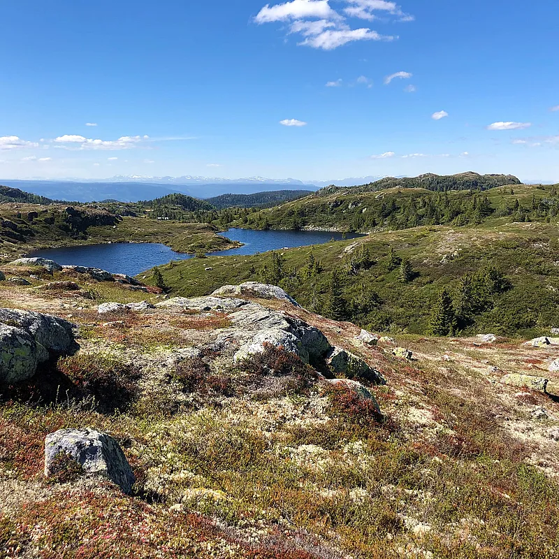 Näytä kuva 42