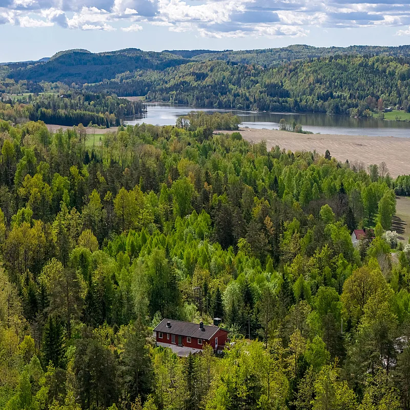 Näytä kuva 49