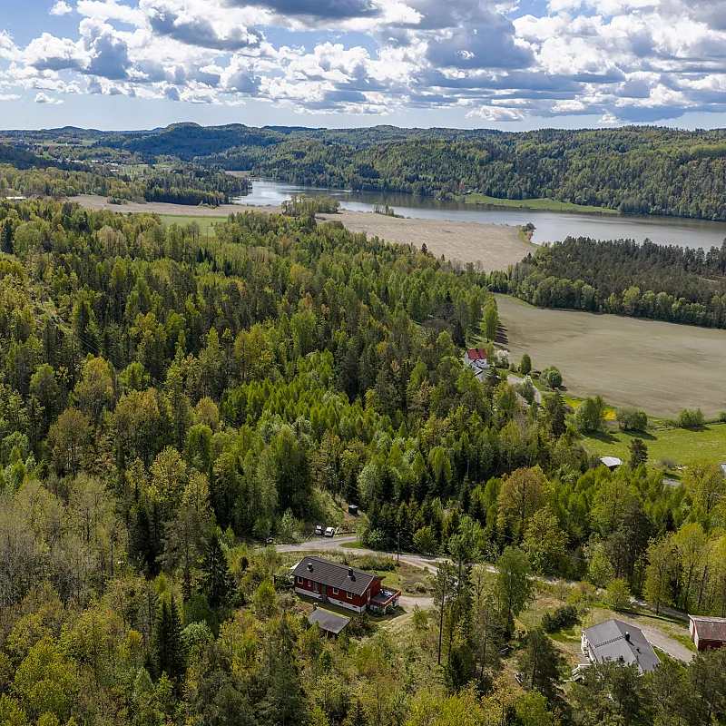 Näytä kuva 50