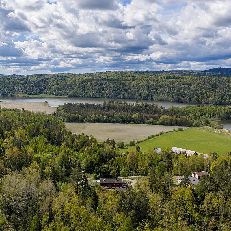 Näytä kuva 55