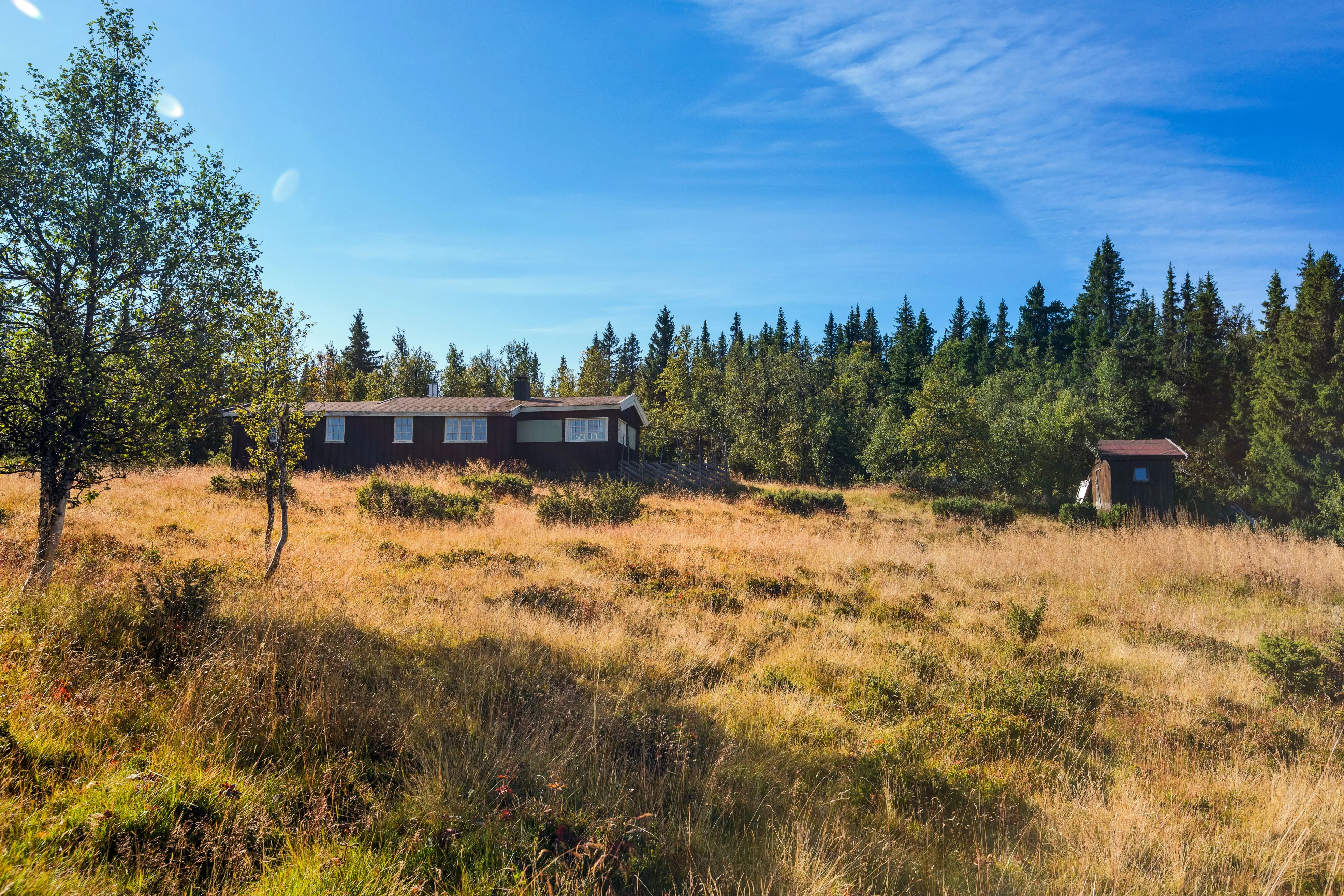 Rustic 1960s Cabin in Ulnes with Expansive Woodland Surroundings - View image 22 of 24
