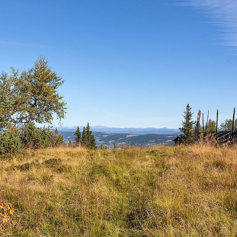 View image 23