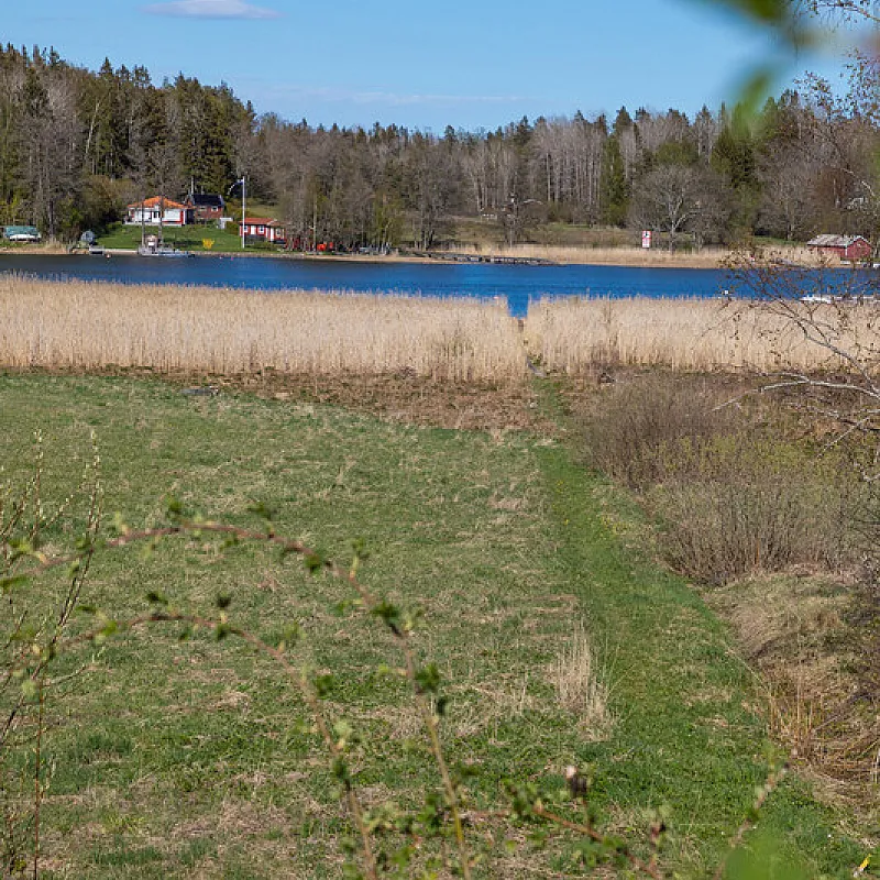 View image 53