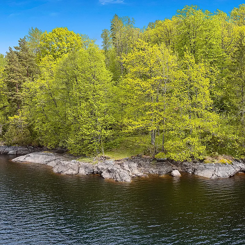 View image 5