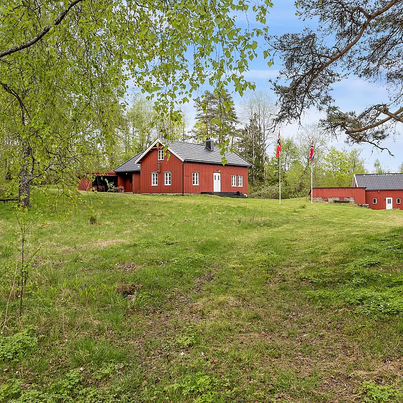 View image 31