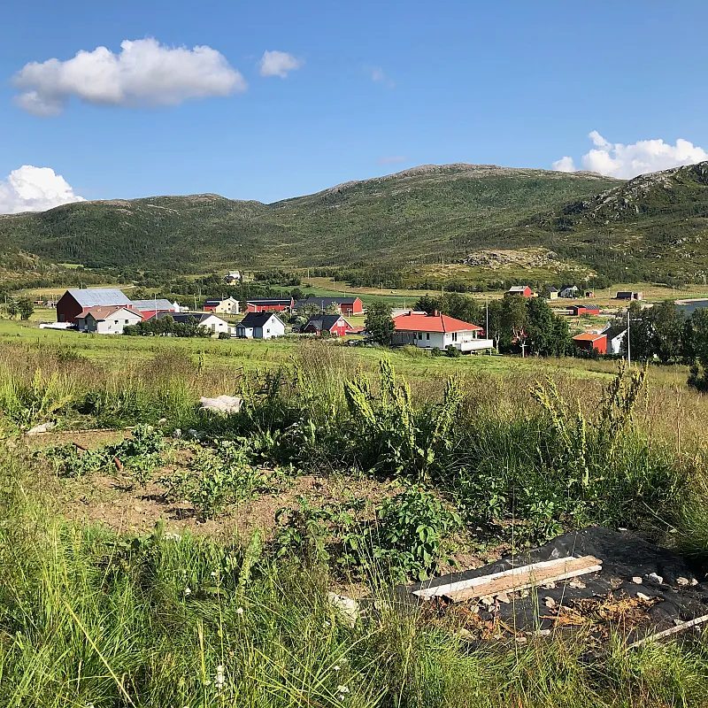 View image 31