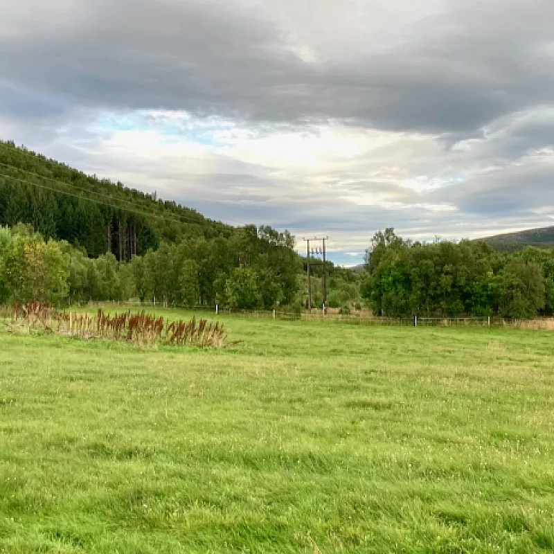 View image 37
