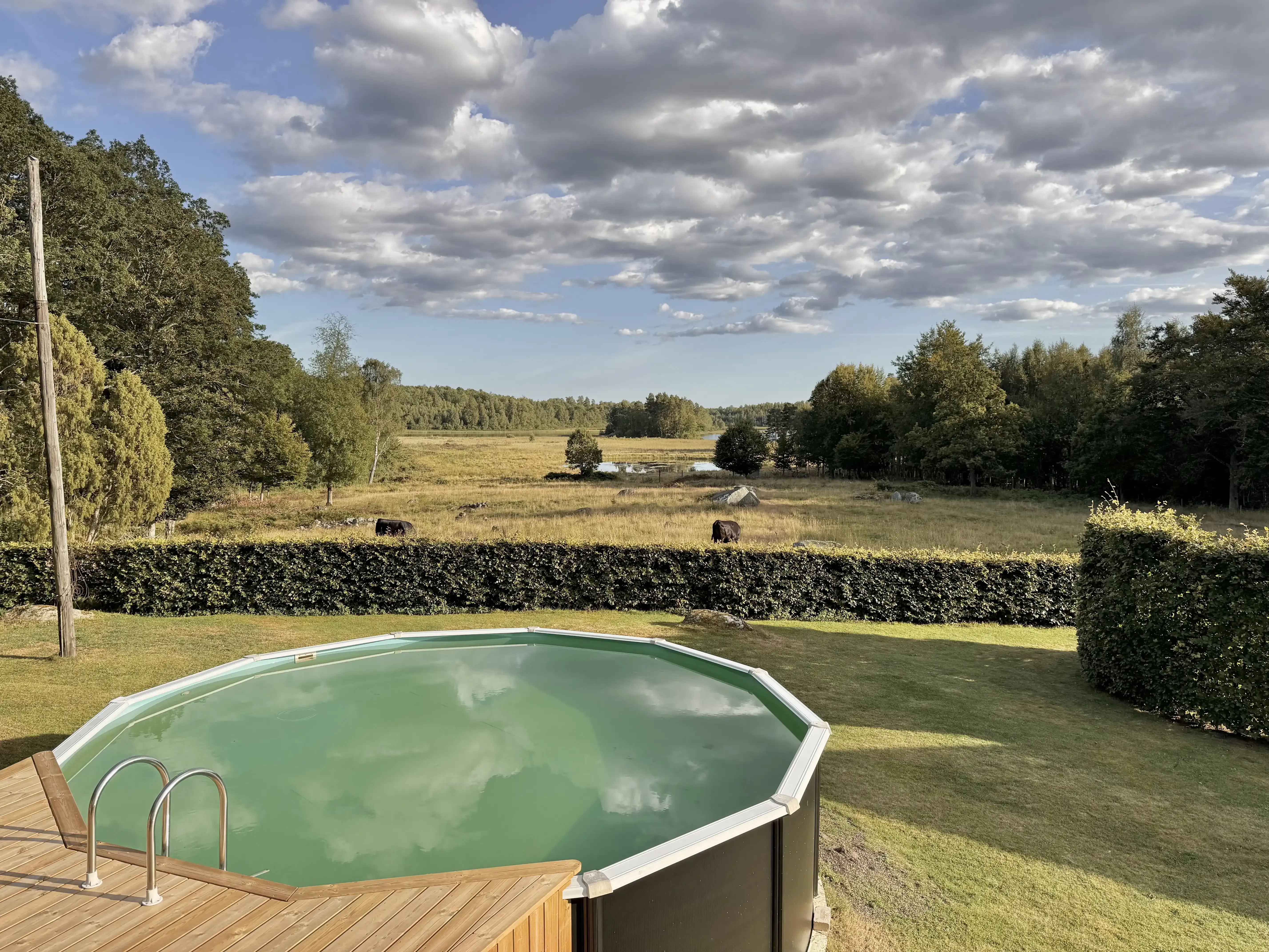 1949 Swedish Farmhouse with Pool and Acreage in Kronoberg - Image 4