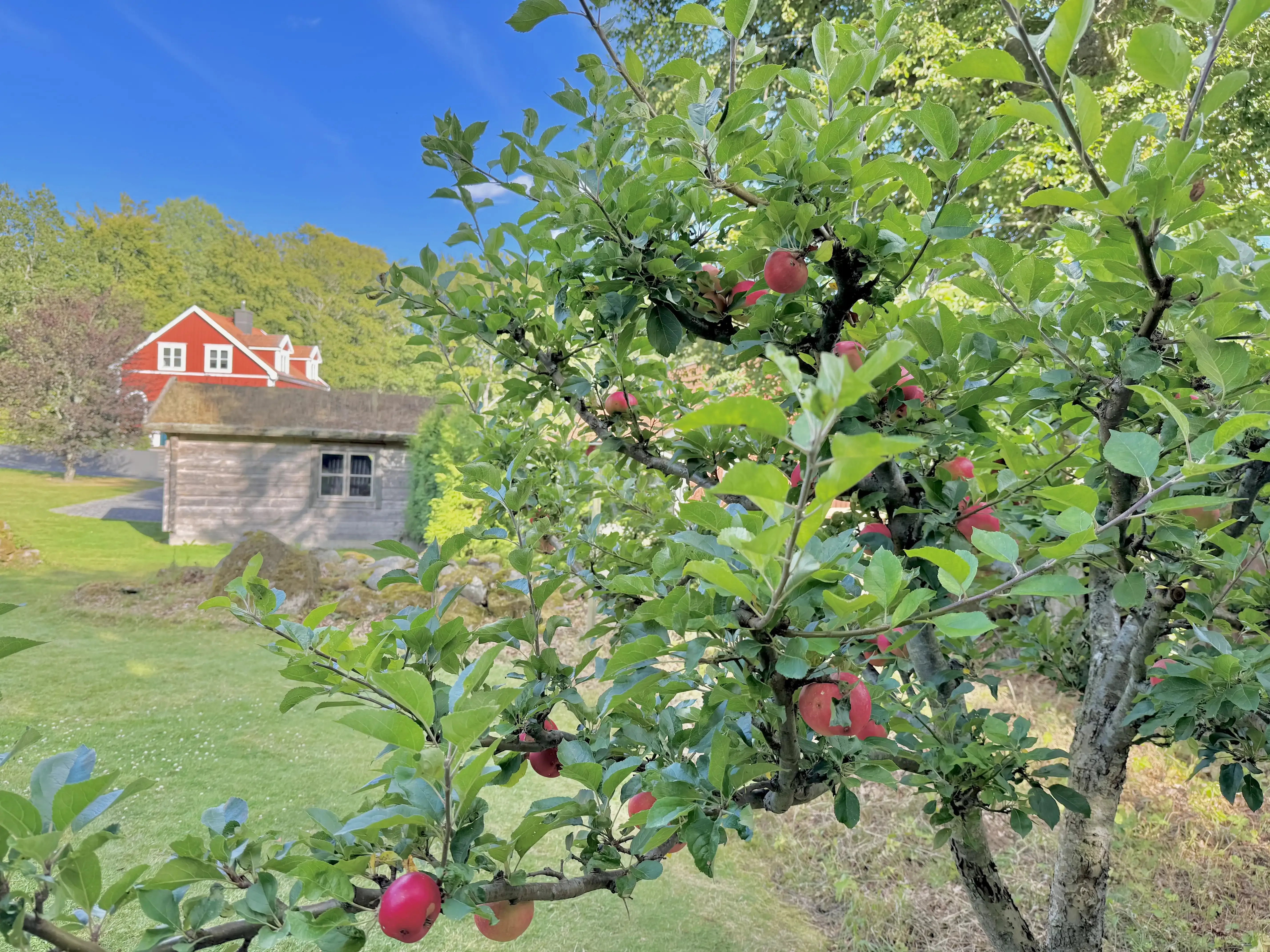 1949 Swedish Farmhouse with Pool and Acreage in Kronoberg - Image 5