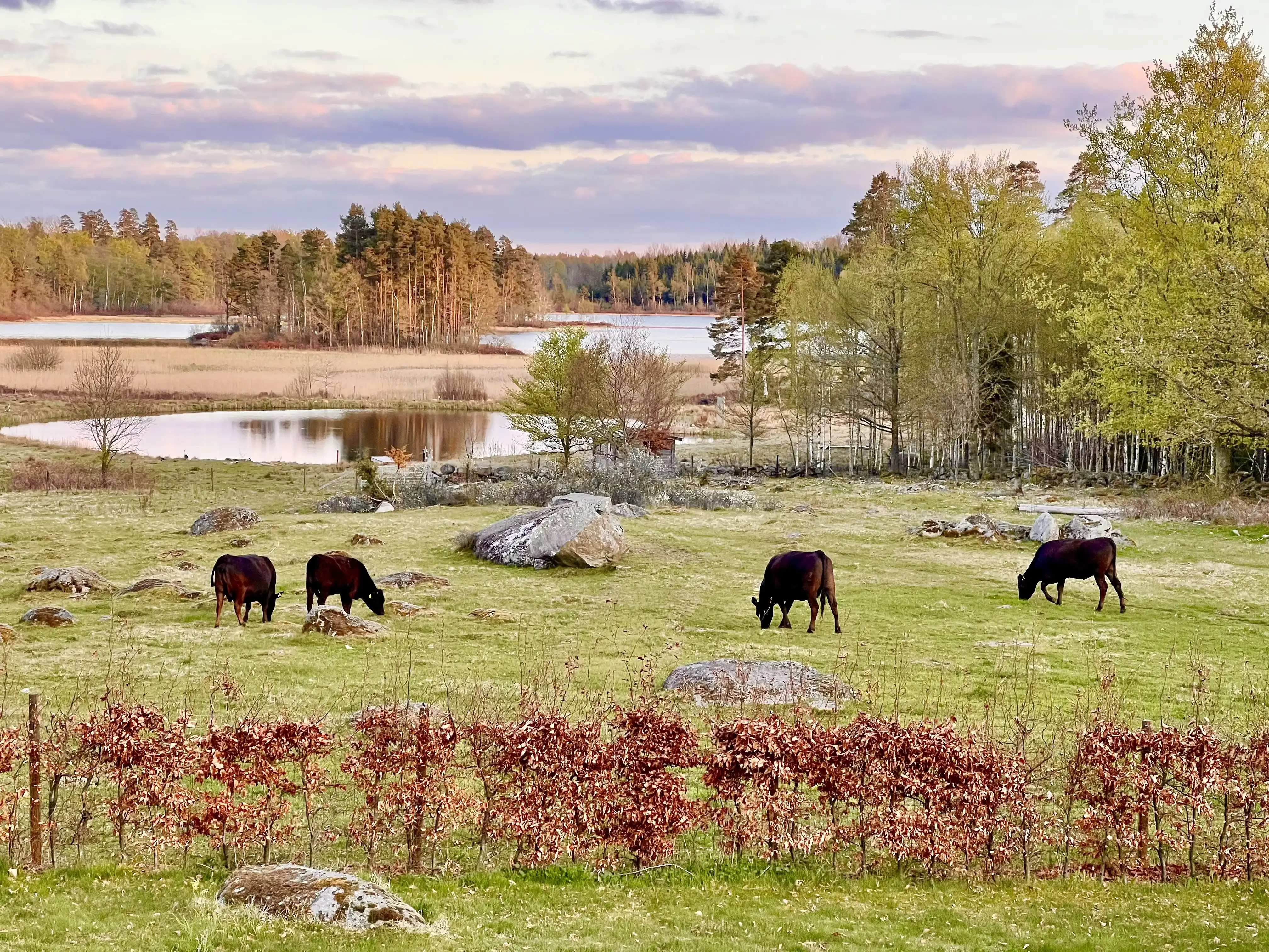 1949 Swedish Farmhouse with Pool and Acreage in Kronoberg - View image 36 of 64
