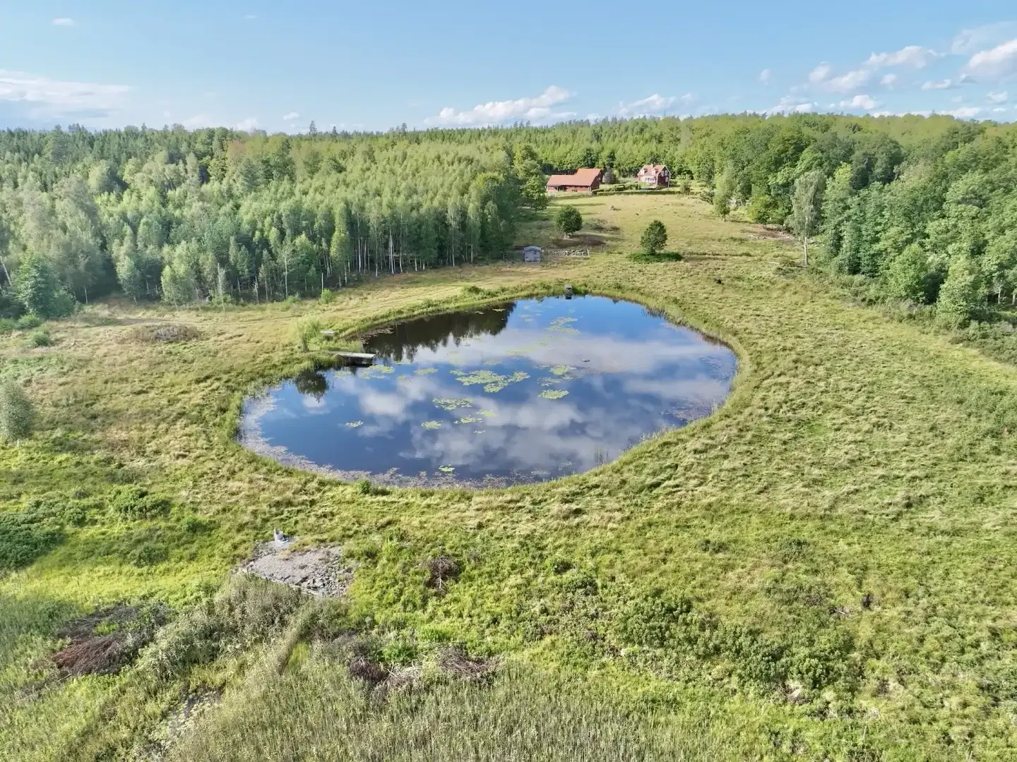 1949 Swedish Farmhouse with Pool and Acreage in Kronoberg - View image 49 of 64