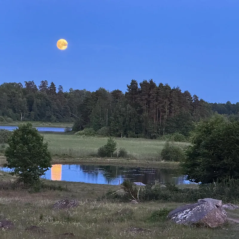 View image 52