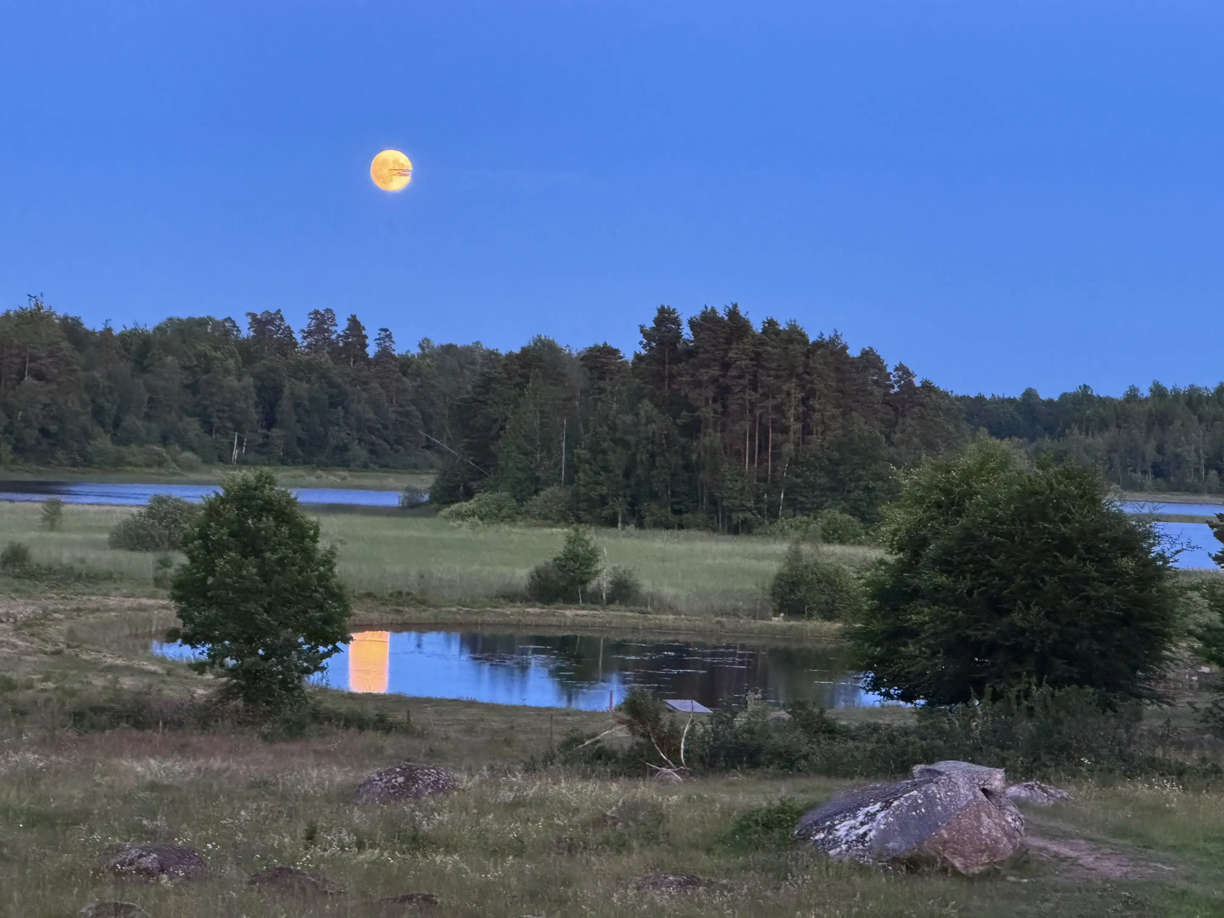 1949 Swedish Farmhouse with Pool and Acreage in Kronoberg - View image 52 of 64