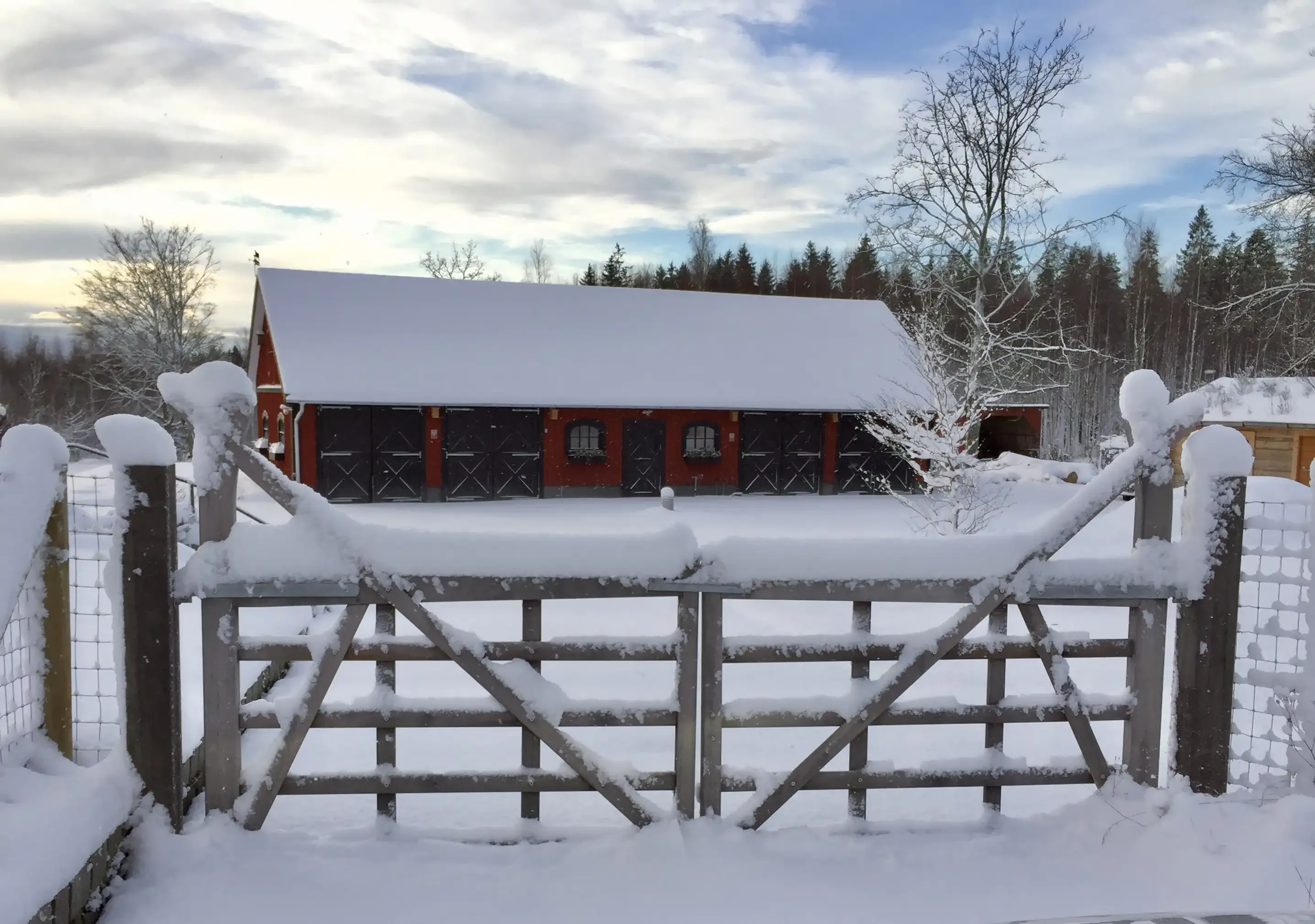 1949 Swedish Farmhouse with Pool and Acreage in Kronoberg - View image 58 of 64