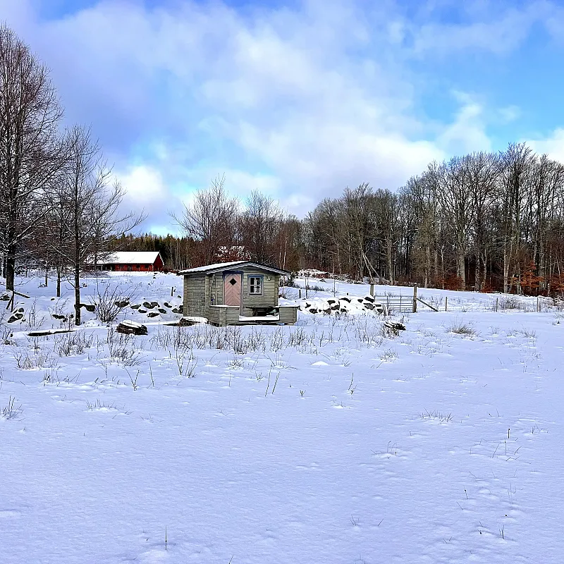 View image 59