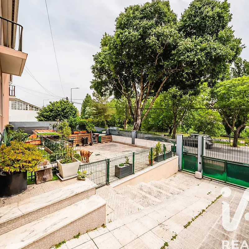 View image 35