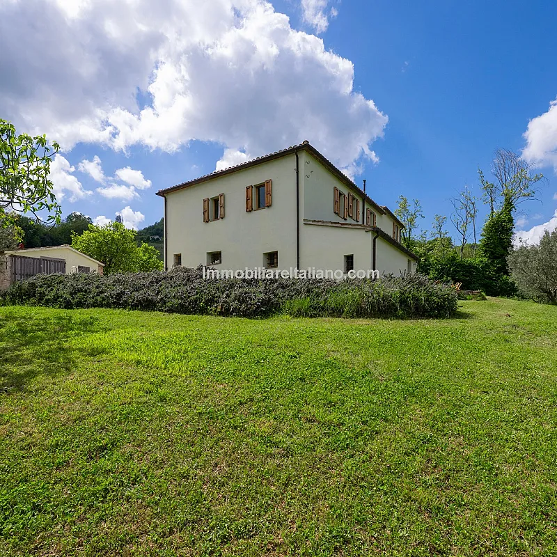 View image 9