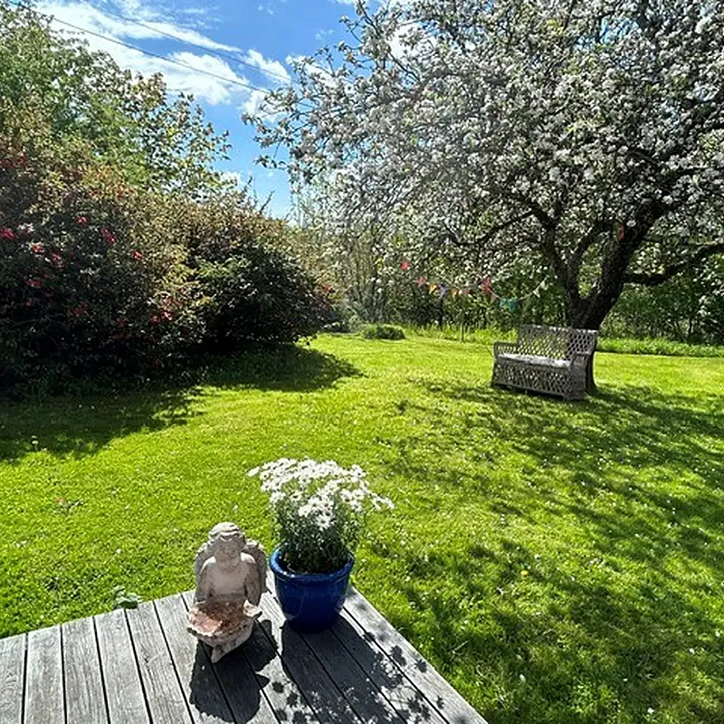 View image 39
