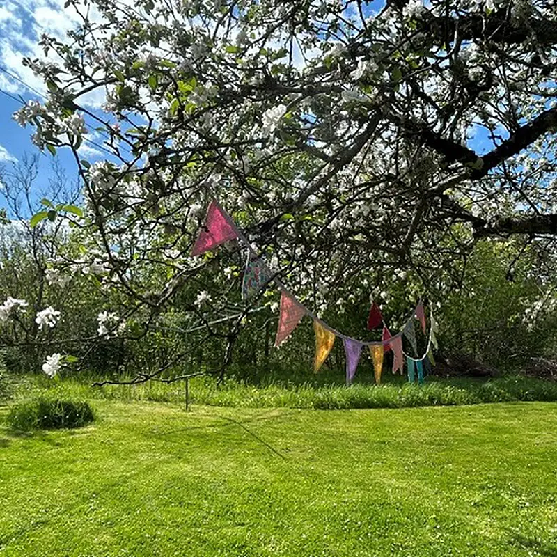 View image 40
