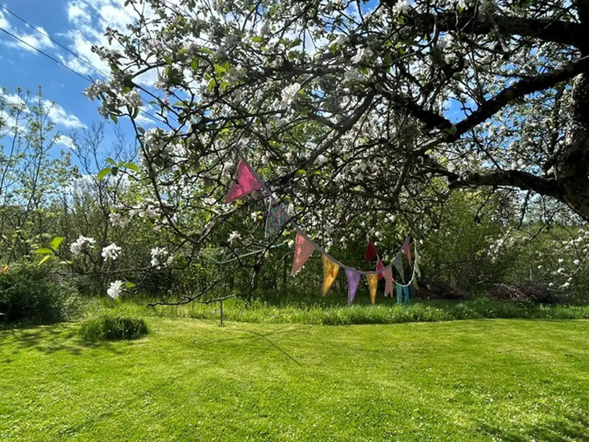 1840s Norwegian House with Expansive Grounds and 7 Bedrooms in Grimstad - View image 40 of 48