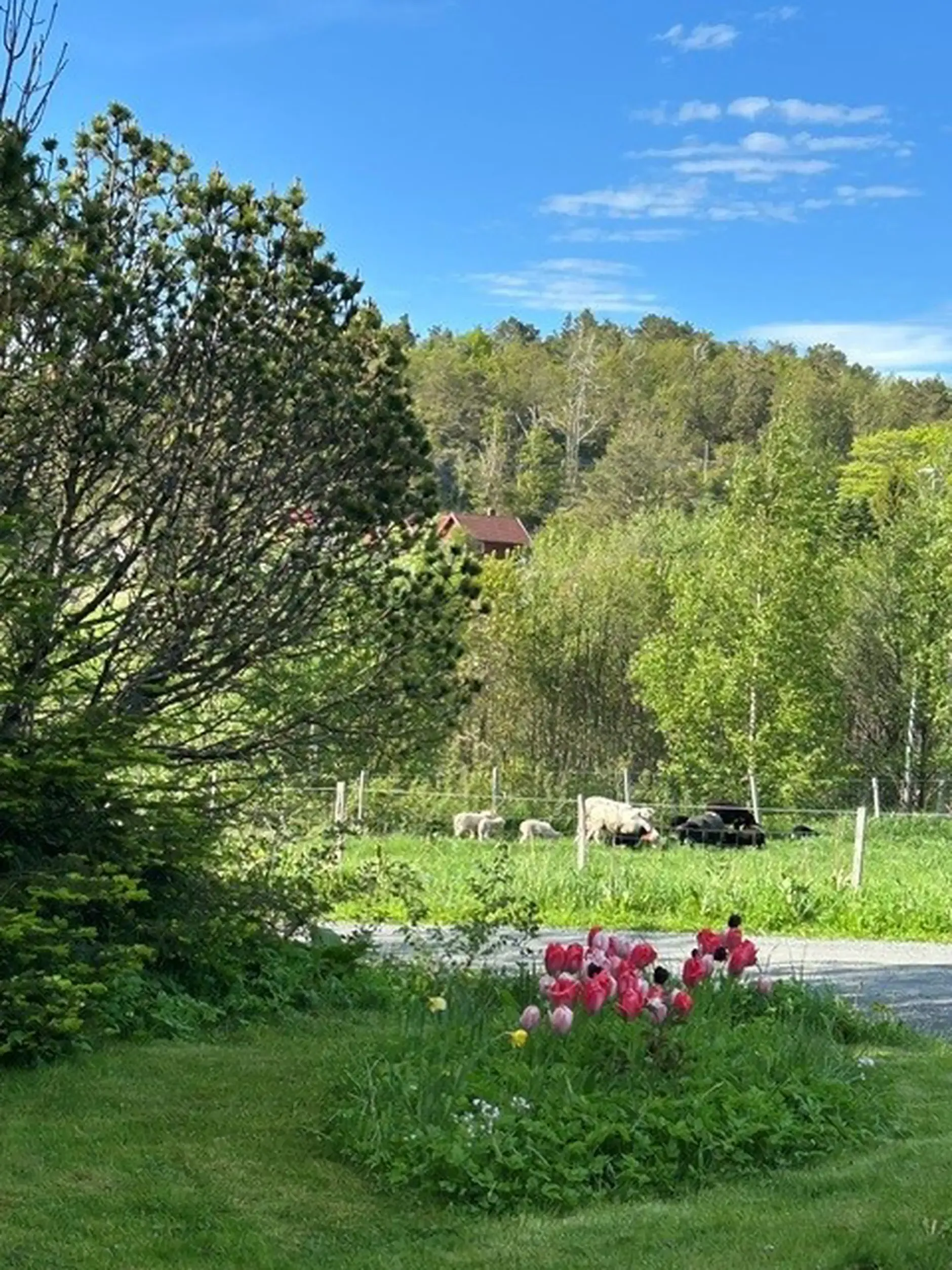1840s Norwegian House with Expansive Grounds and 7 Bedrooms in Grimstad - View image 42 of 48