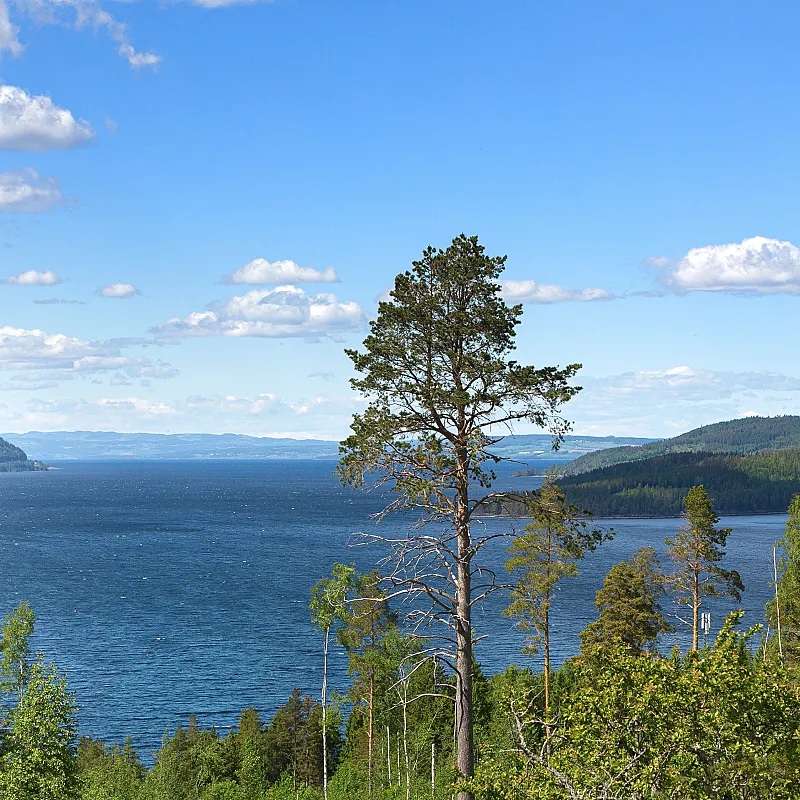 View image 15