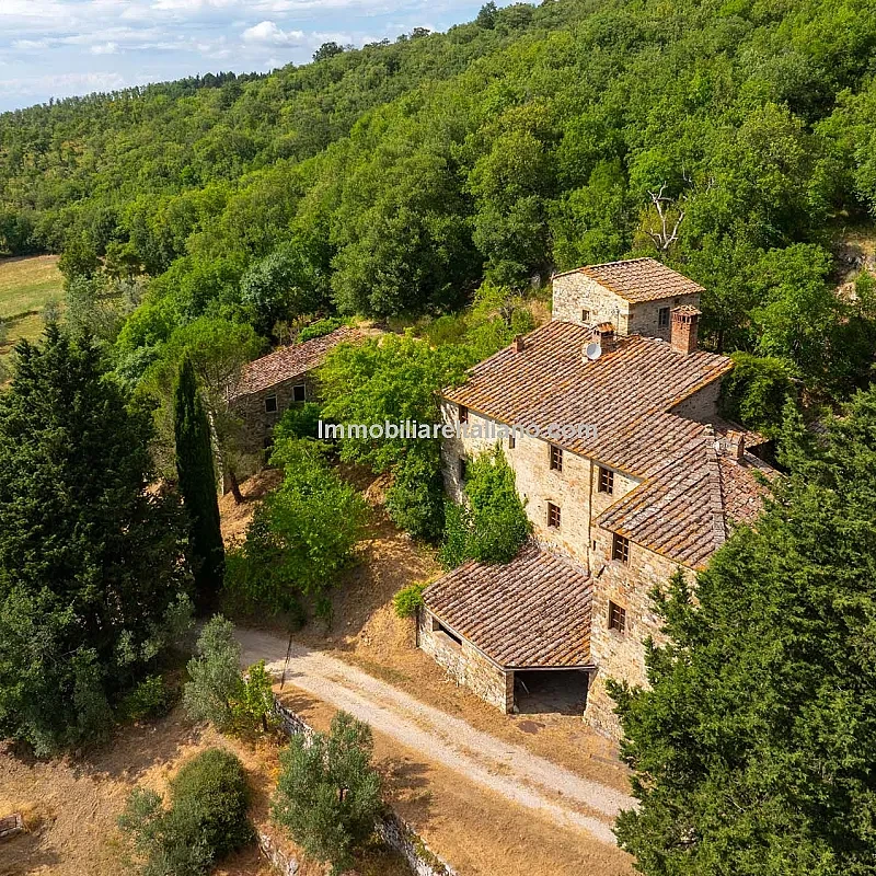 Toscansk bondegård i Chianti med olivenlunde og renoveringspotentiale