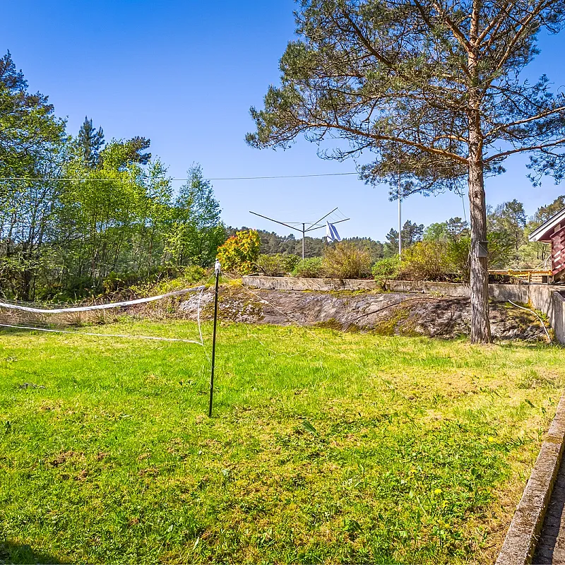 View image 38