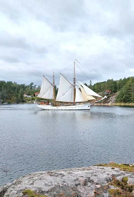 Zweeds vakantiehuis uit de jaren 60 op een schiereiland, met aanlegsteiger en traditionele houtgestookte sauna - Image 5