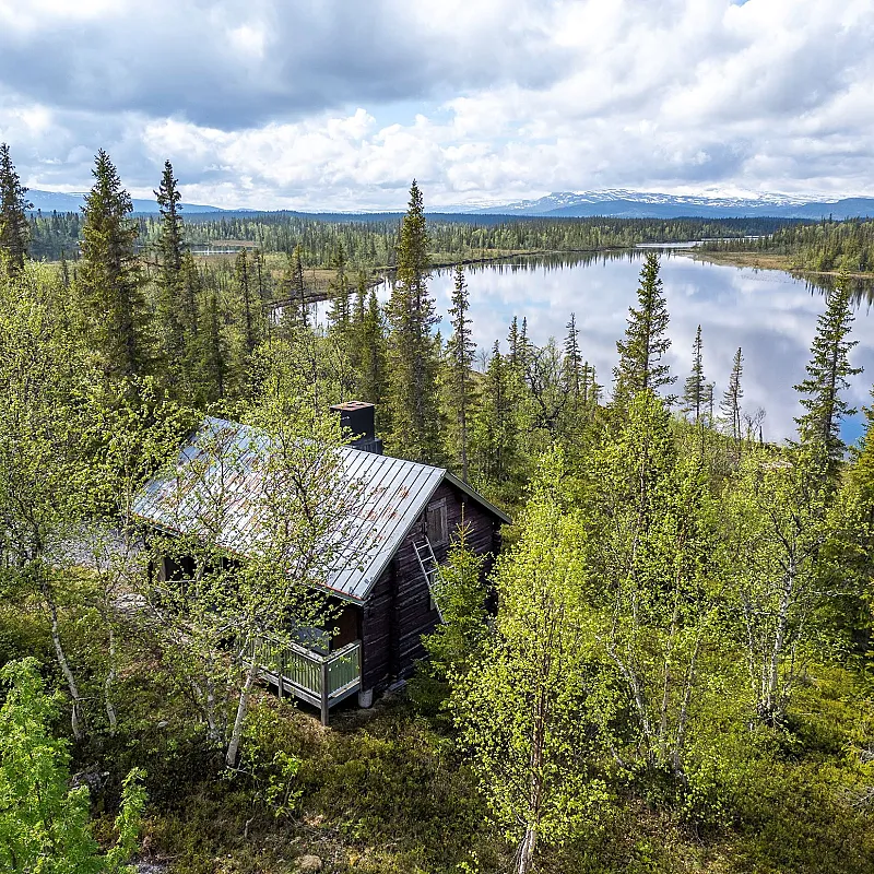 1960s Timber Cabin in Vilhelmina with Expansive Grounds and Terrace