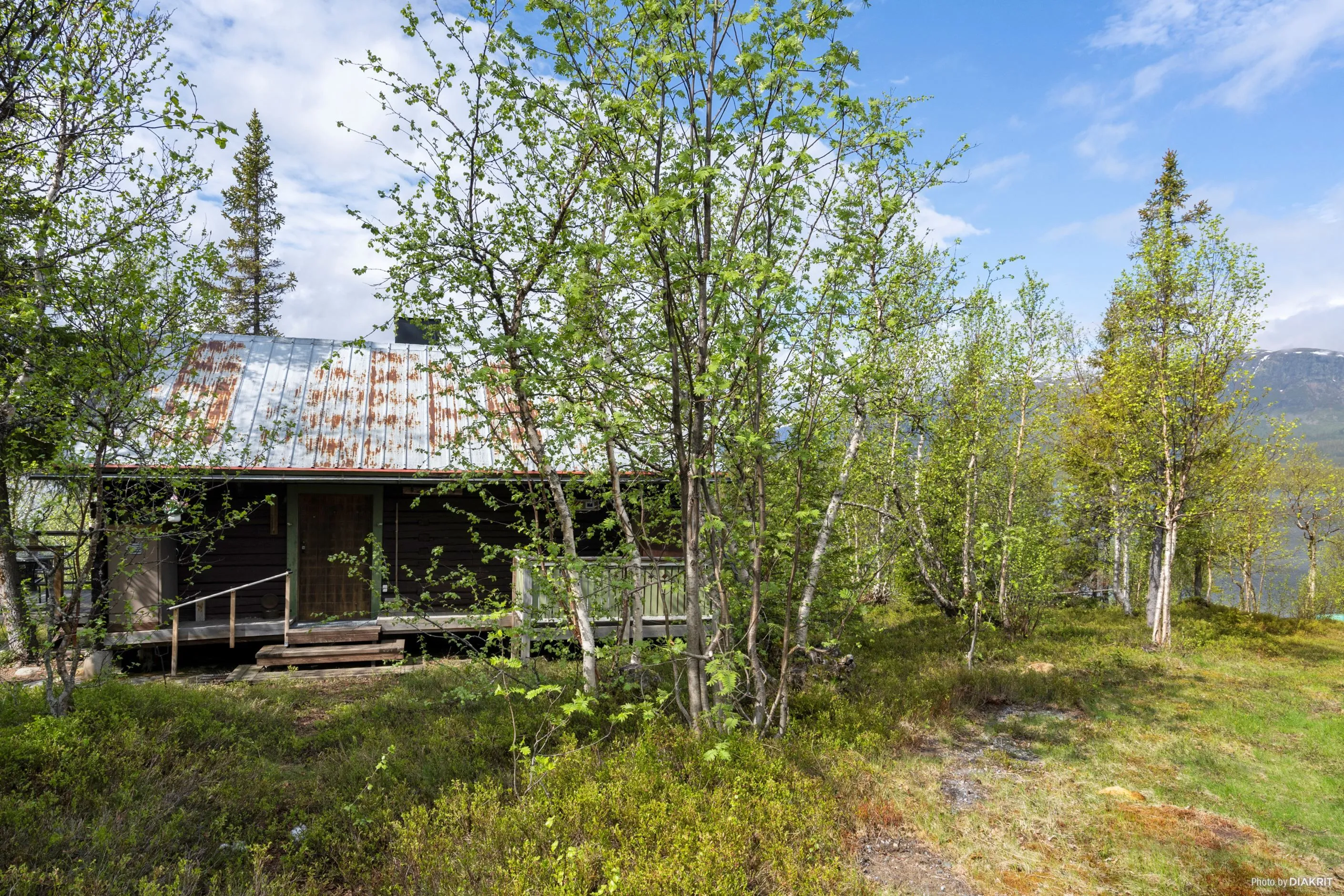 1960s Timber Cabin in Vilhelmina with Expansive Grounds and Terrace - View image 17 of 27