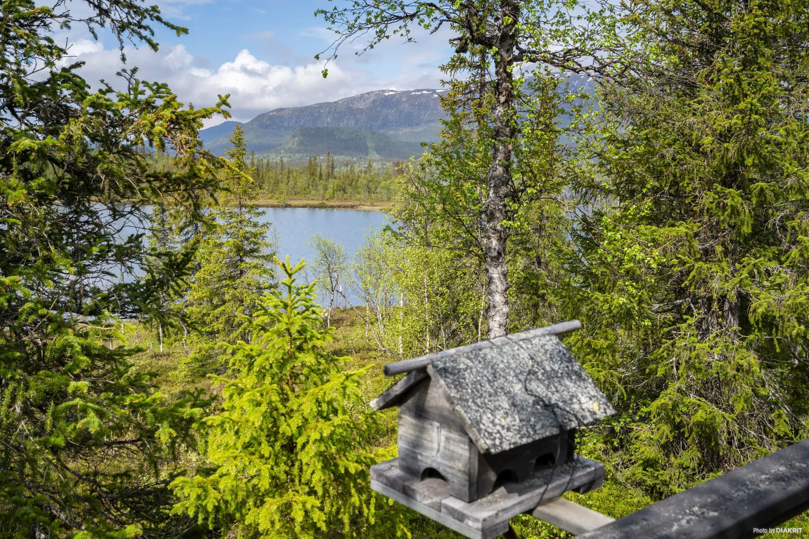 1960s Timber Cabin in Vilhelmina with Expansive Grounds and Terrace - View image 22 of 27