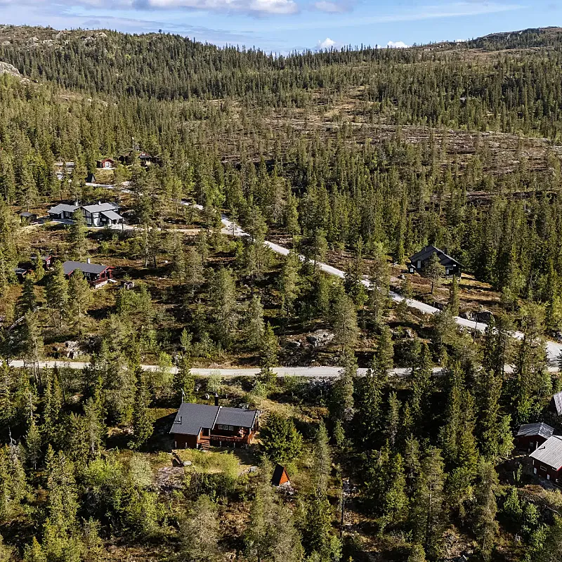 View image 5