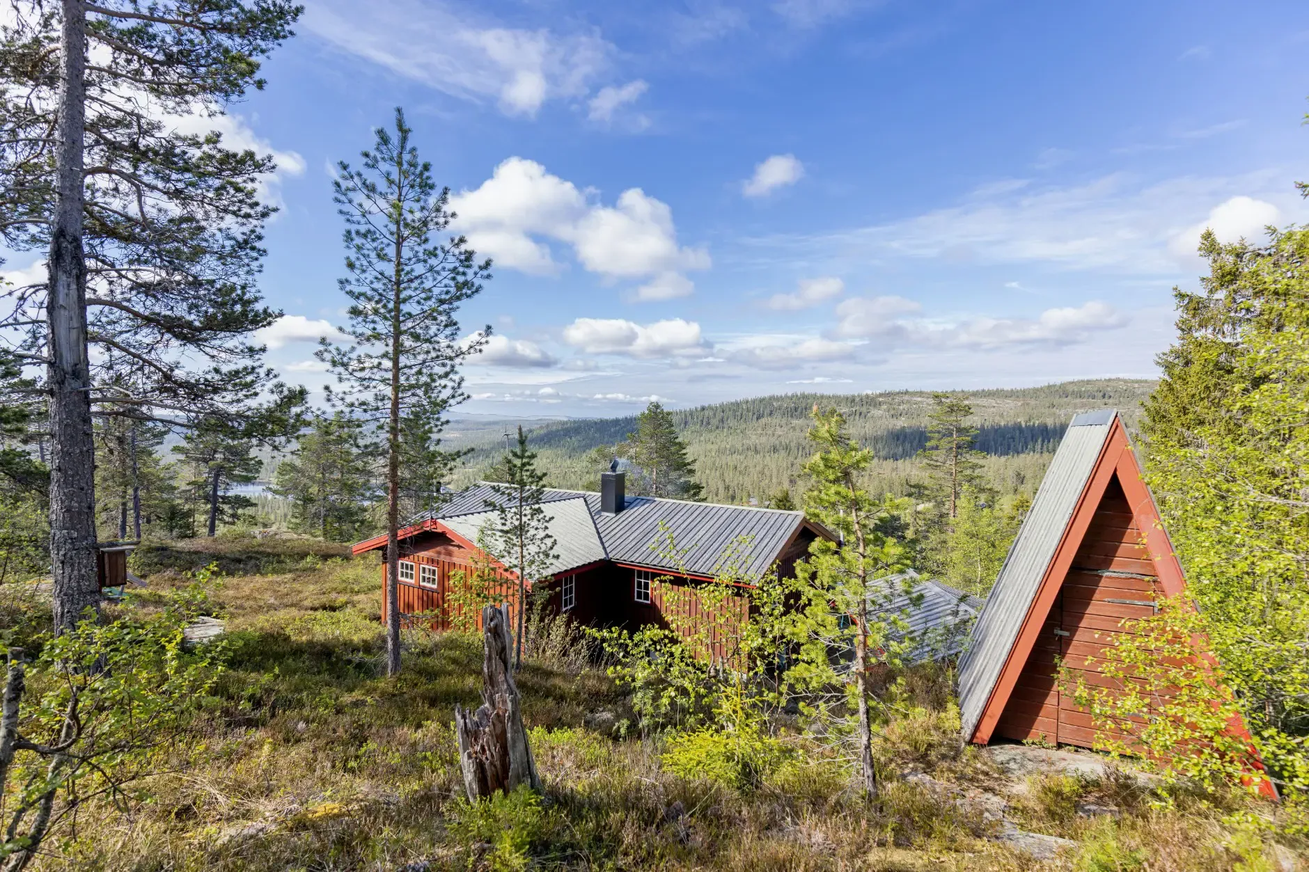 Three-Bedroom Country House with Terrace in Scenic Nedre Eggedal, Norway - View image 33 of 33