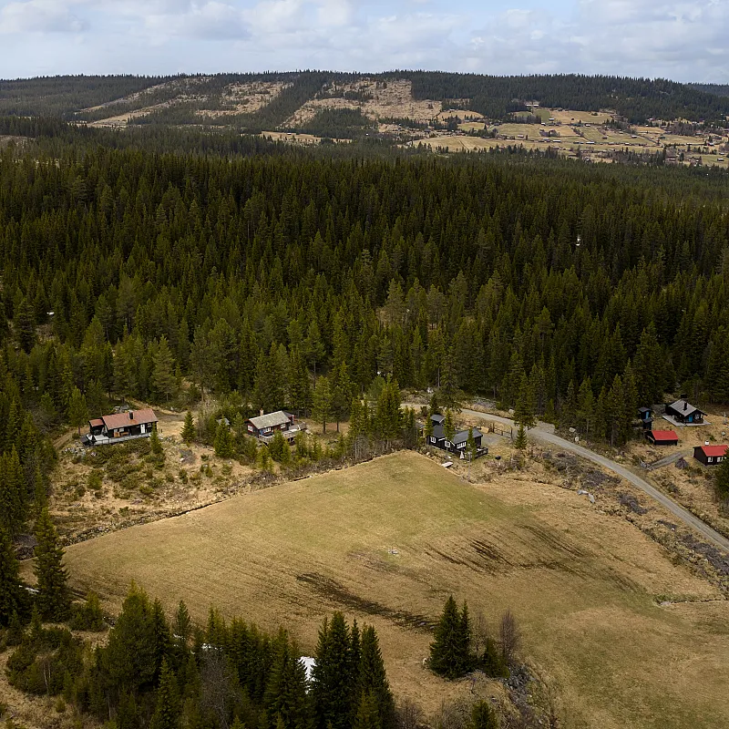 View image 5