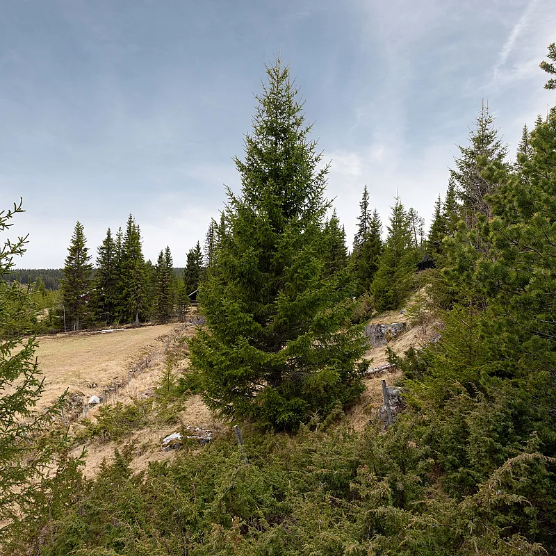 View image 25