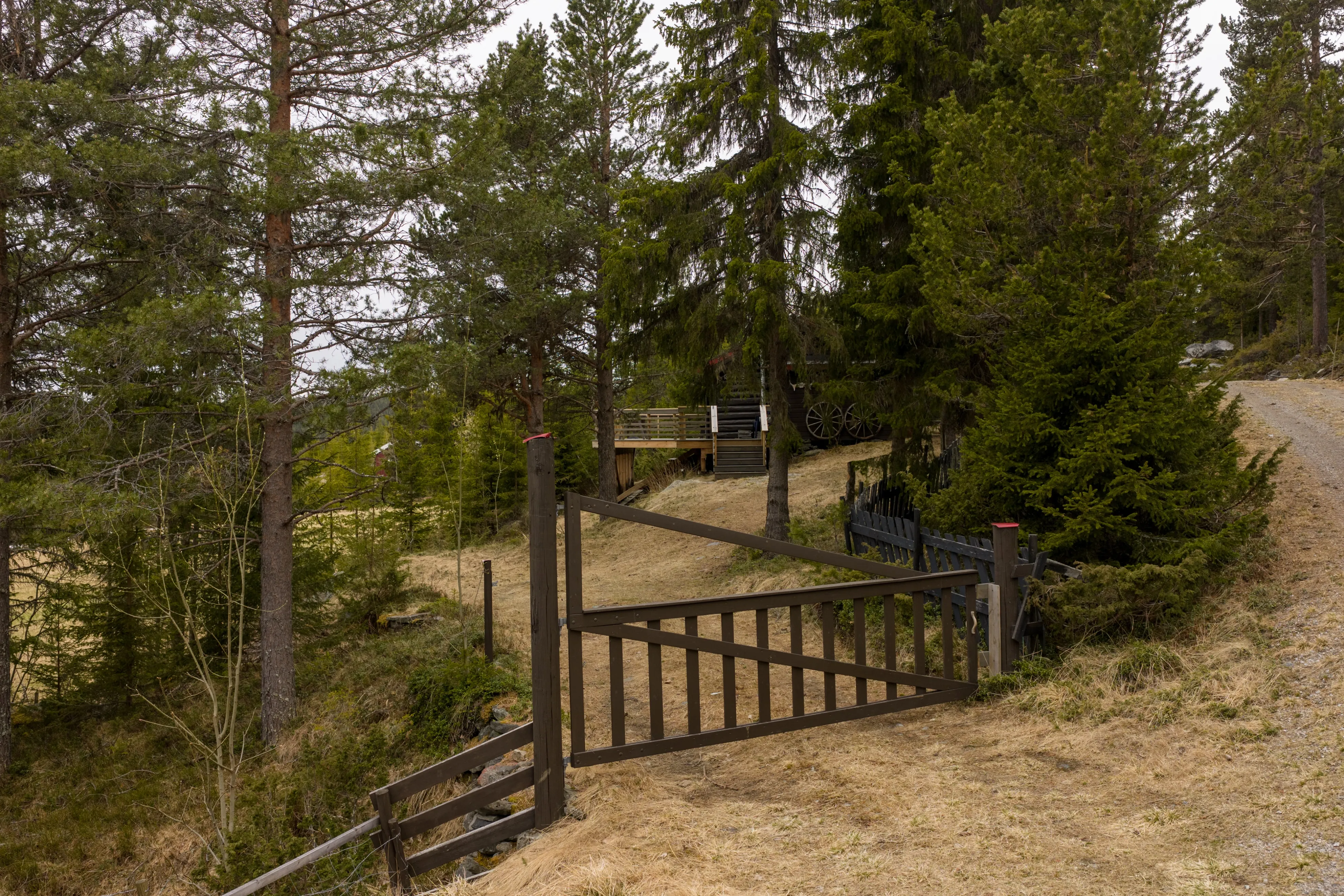 1950s Cabin in Norway's Scenic Highlands with Terrace and Solar Power - View image 32 of 33